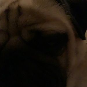 Meet your Posher, Chloe